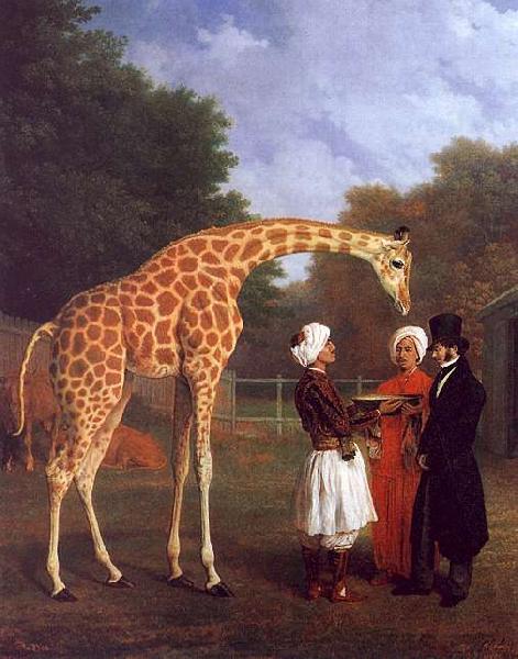 Jacques-Laurent Agasse The Nubian Giraffe oil painting image